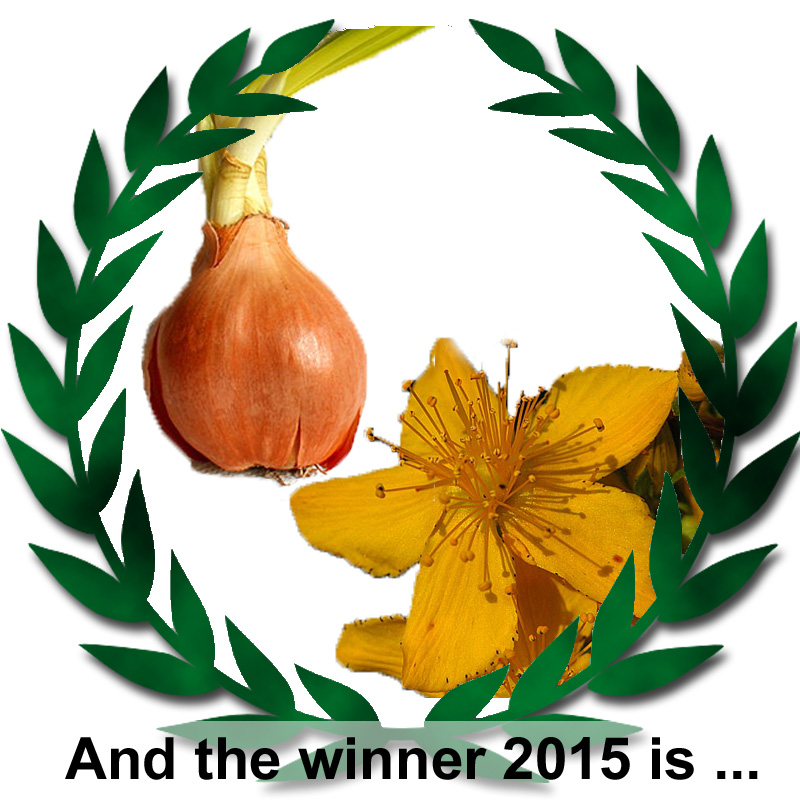 ebook the story of poland the story of