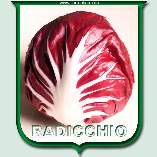 radicchio flora