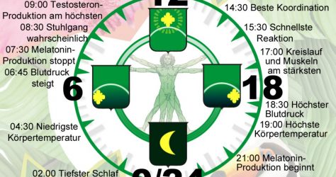 Biologische Uhr v2