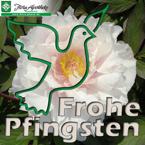 pfingsten