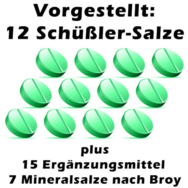 Die 12 Schuessler-Salze