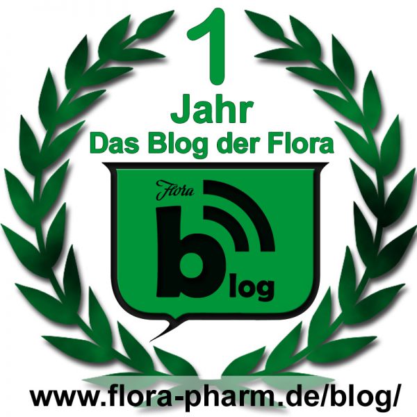 blog 1y