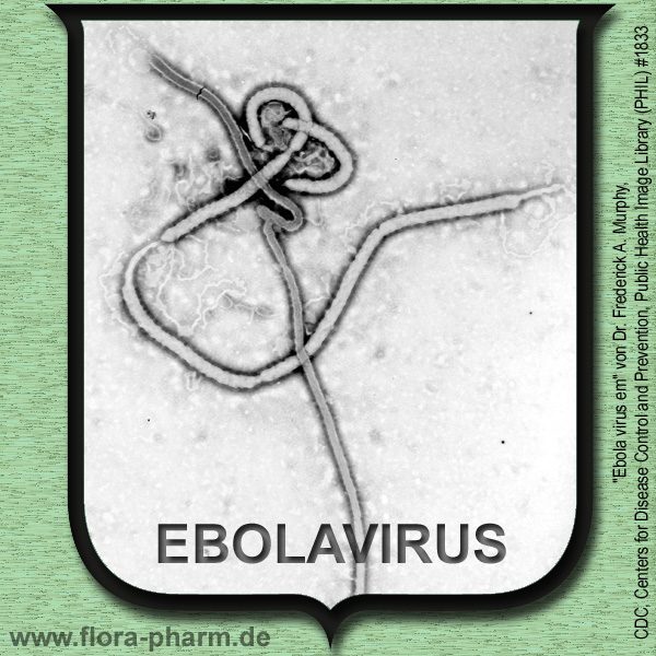 ebola