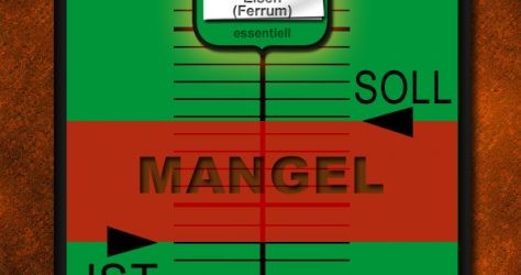 Eisenmangel Fe