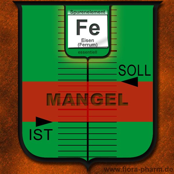 Eisenmangel Fe