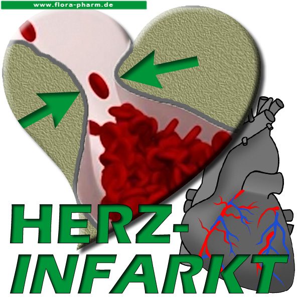 herz3