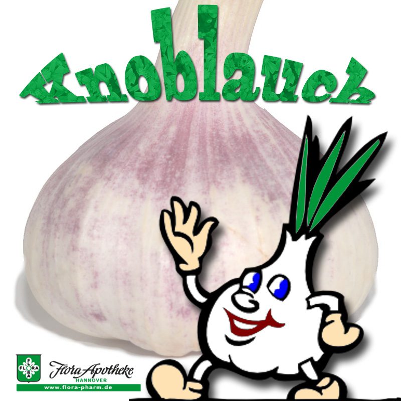 Knoblauch