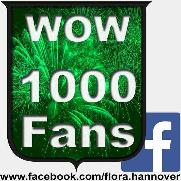 1000-facebook-fans