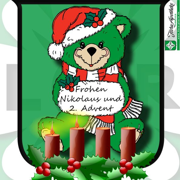 teddy-2-advent+nikolaus