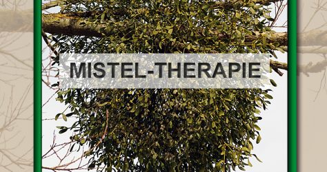 mistel-therapie