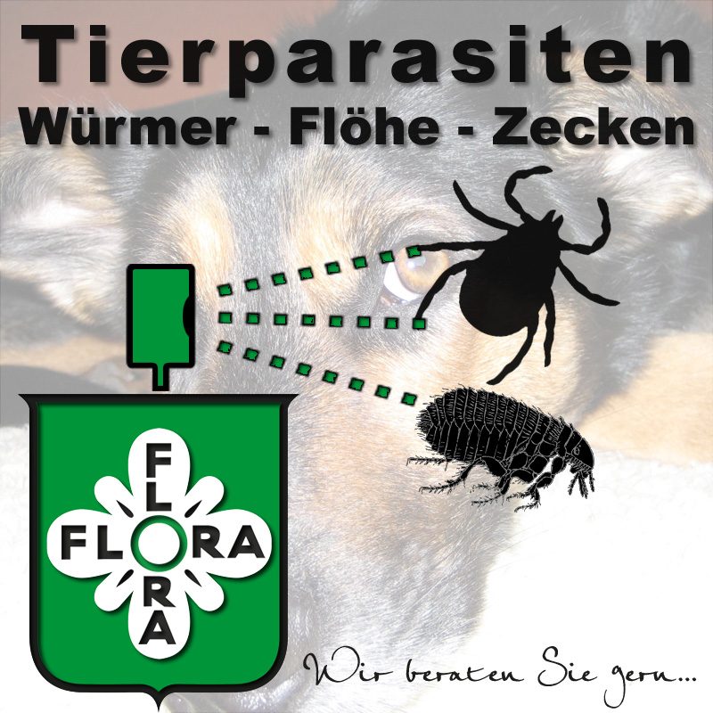 tierparasiten_v2