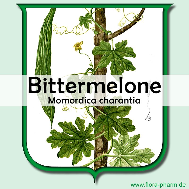 bittermelone