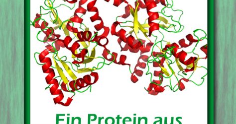 lactoferrin