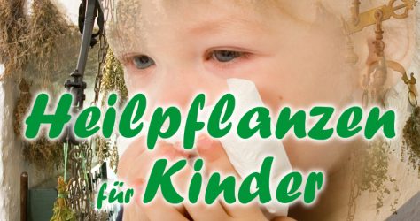 heilpflanzen-kinder