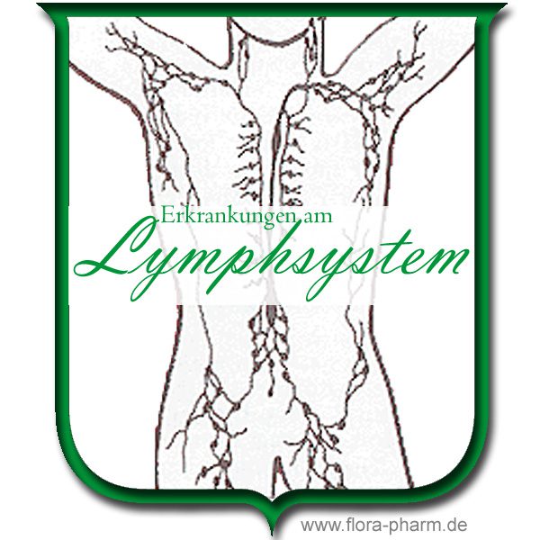 lymphsystem