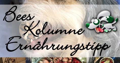 bees-kolumne-ernaehrungstipp