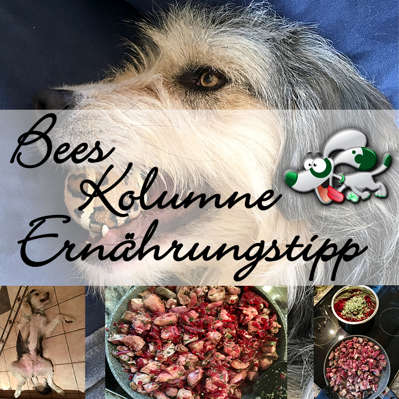 Gesunde HundeErnährung Flora Apotheke Hannover