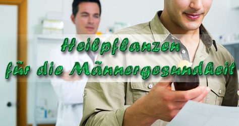 heilpflanzen-maenneregesundheit