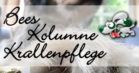 bees-kolumne-krallenpflege