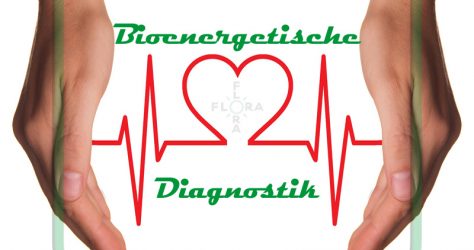 Bioenergetische-Diagnostik