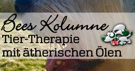 Duftmedizin - Aromatherapie - Ätherische Öle für Tiere