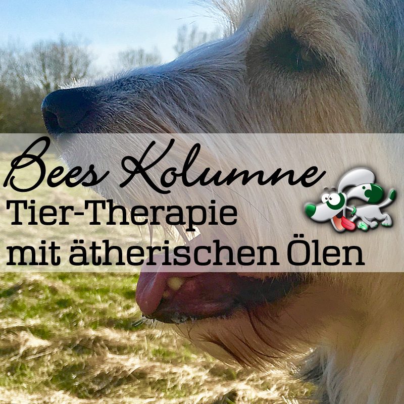 Duftmedizin - Aromatherapie - Ätherische Öle für Tiere