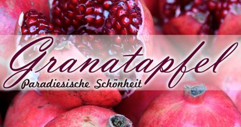 Granatapfel