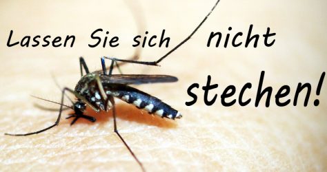 Mückenstich vermeiden