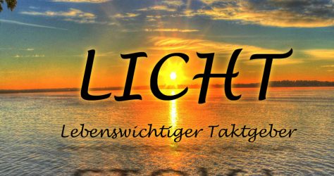 Licht Taktgeber innere Uhr