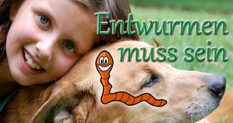 Entwurmung von Hund und Katze