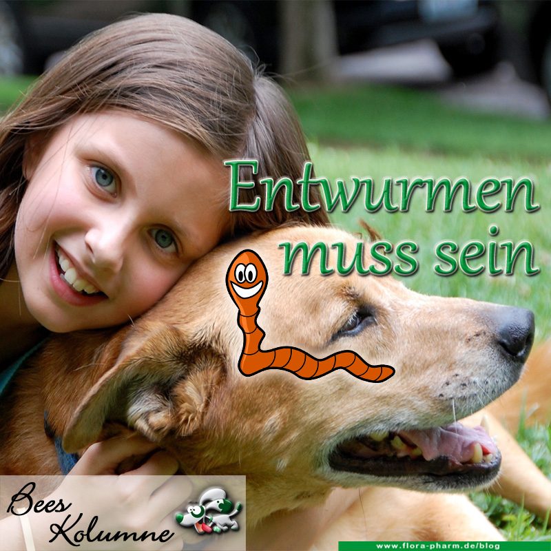 Entwurmung von Hund und Katze