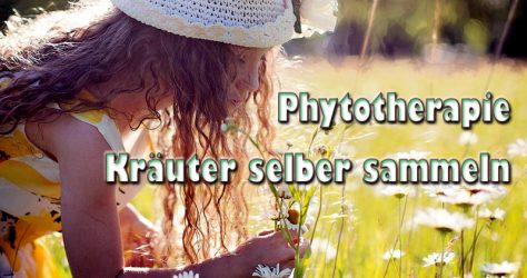 phytotherapie - kraeuter sammeln