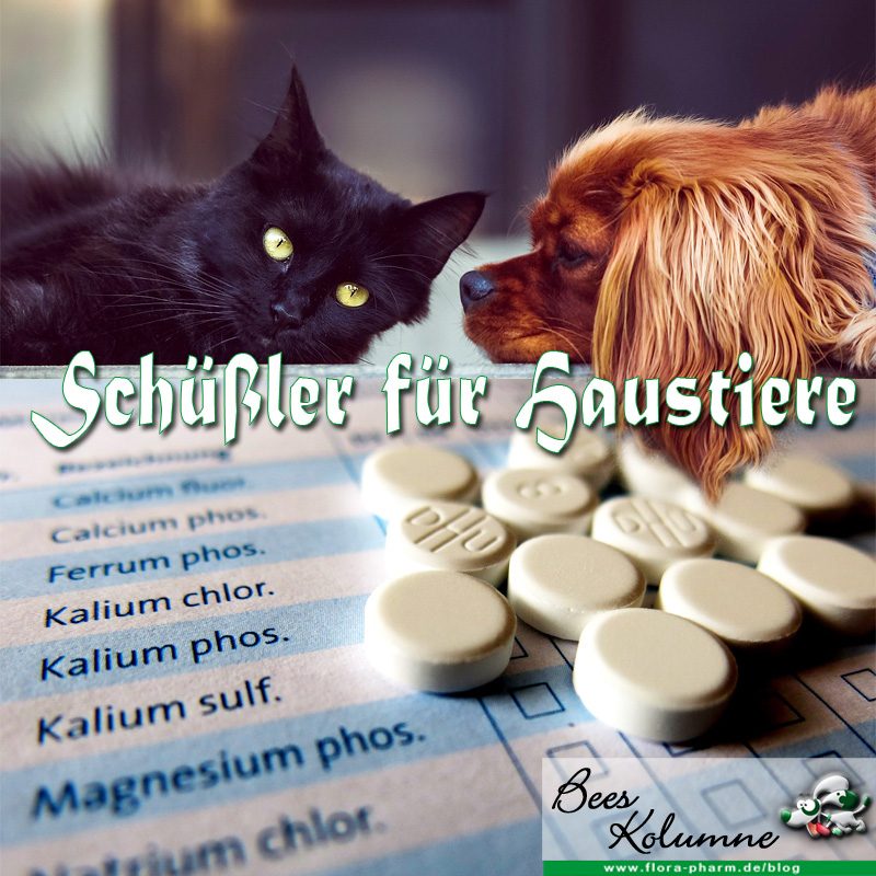 Schüßler-Salze für Haustiere