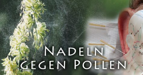 Akupunktur bei Heuschnupfen und Allergie