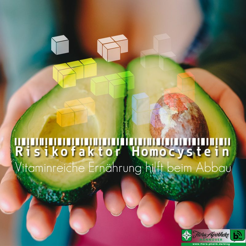 Risikofaktor Homocystein