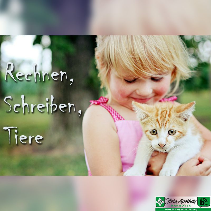 Rechnen, Schreiben, Tiere