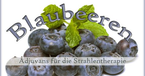 Blaubeeren / Heidelbeeren als Adjuvanz bei Strahlentherapie