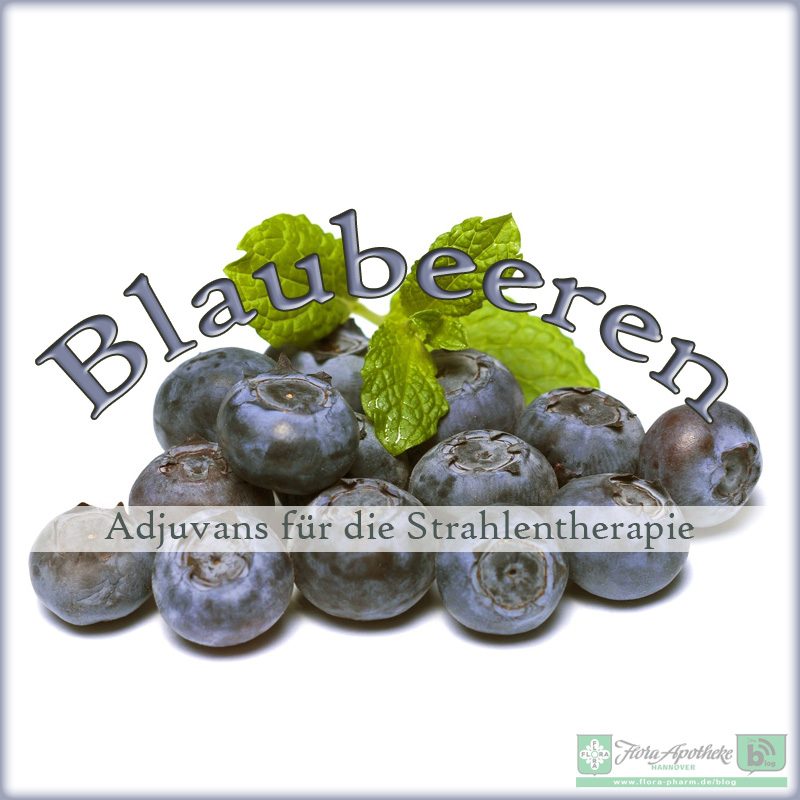 Blaubeeren / Heidelbeeren als Adjuvanz bei Strahlentherapie