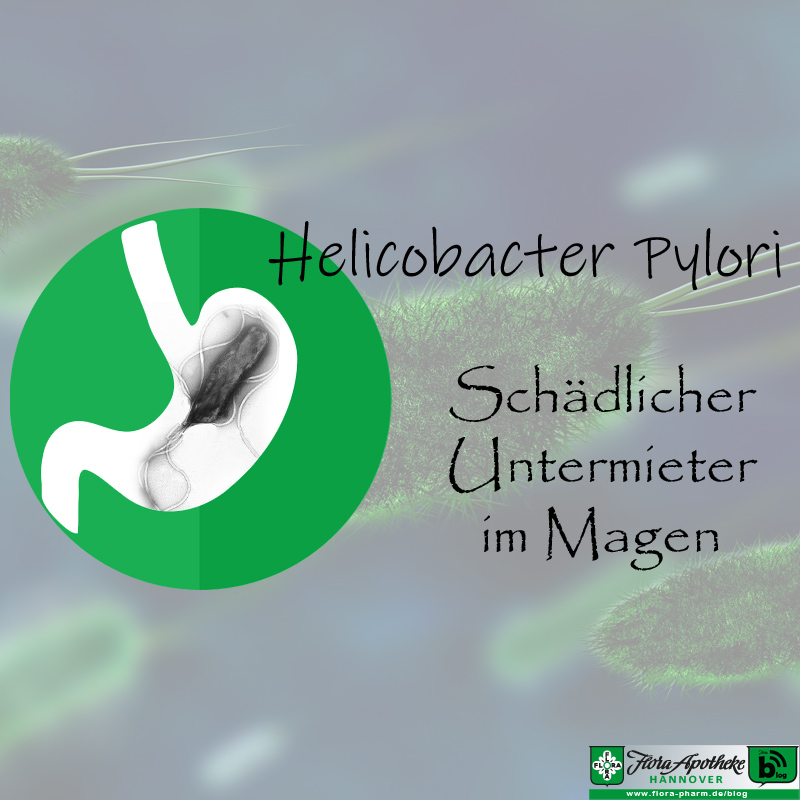 Helicobacter Pylori - Magen