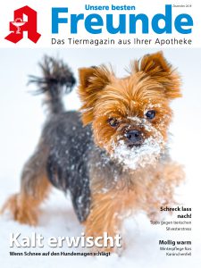 Unsere besten Freunde Cover