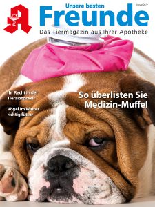 Unsere besten Freunde Cover 2/19