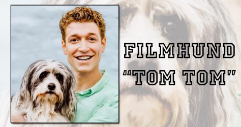 Hunde beim Film, Tom Tom