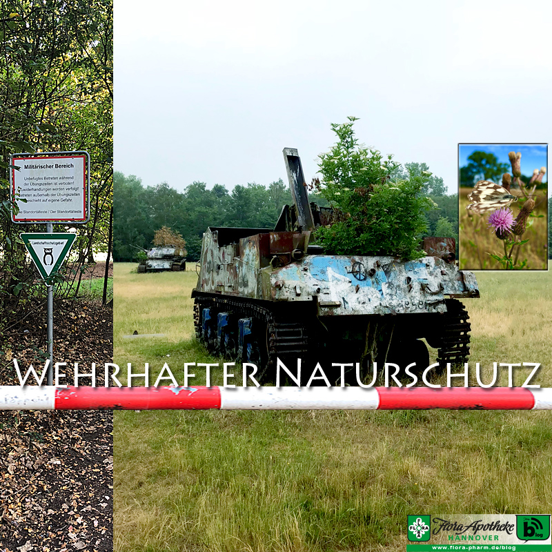 Naturschutz Truppenübungsplatz