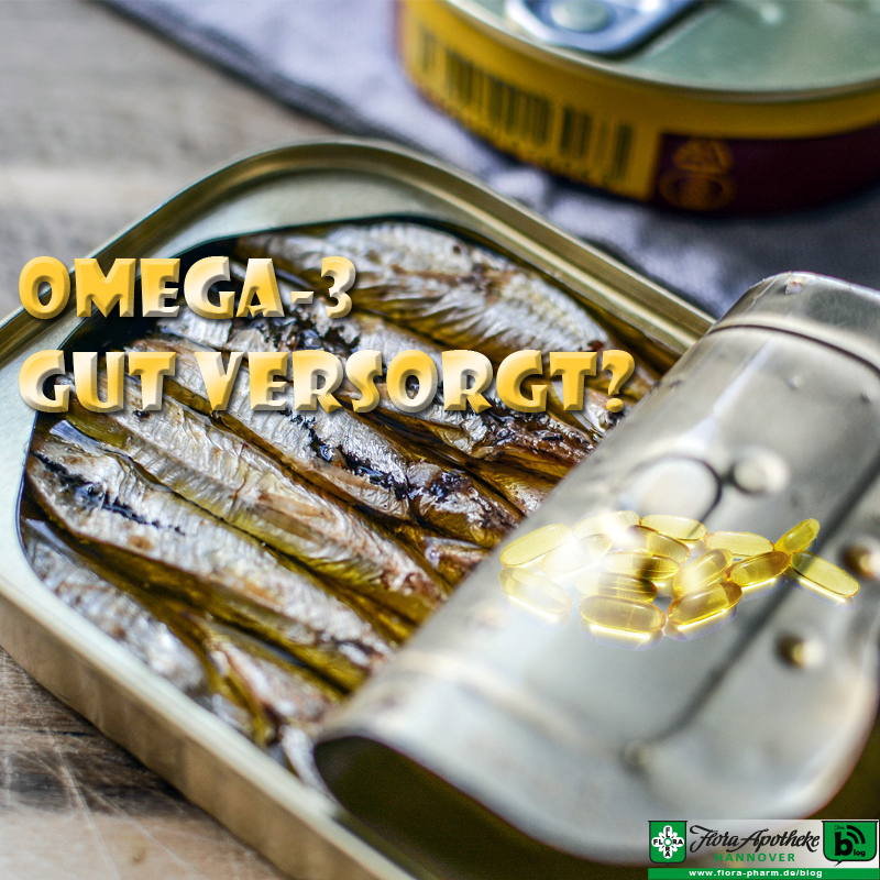 Omega-3 Versorgung