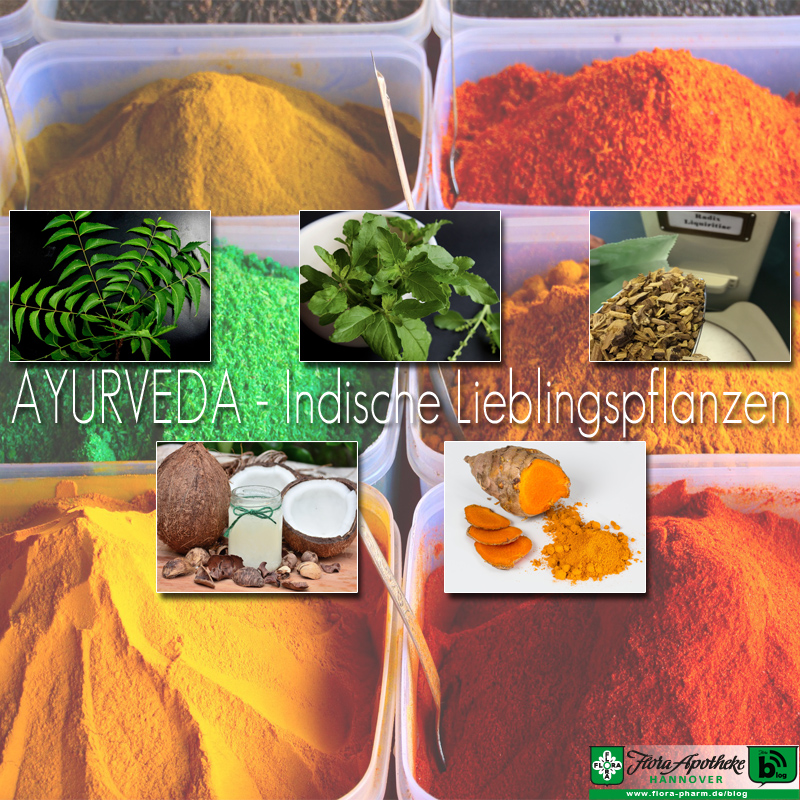 ayurveda pflanzen