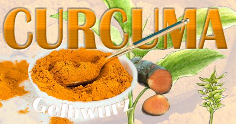 curcuma-kurkuma-gelbwurz