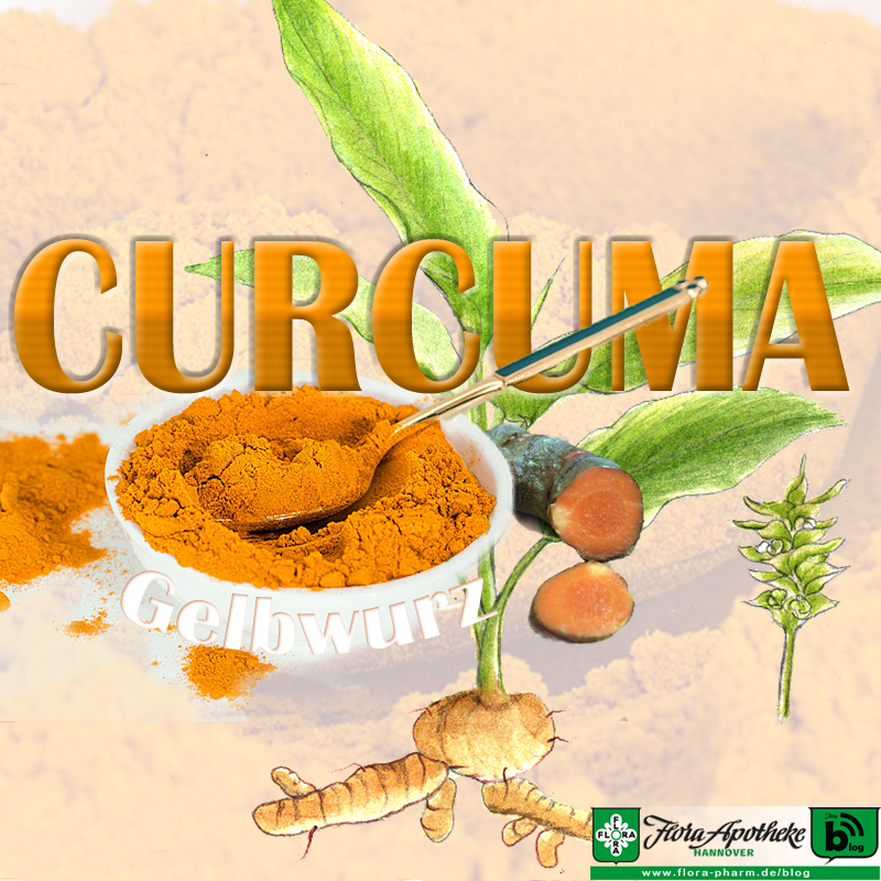 curcuma-kurkuma-gelbwurz