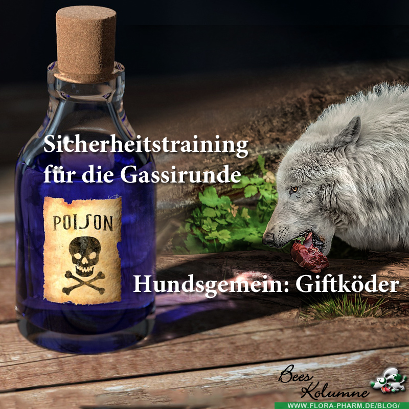 hundsgemein: Giftköder