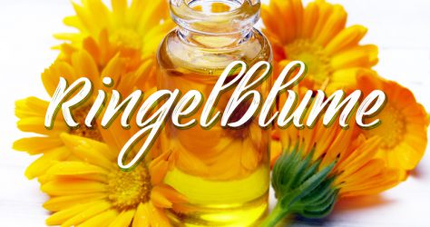 Ringelblume