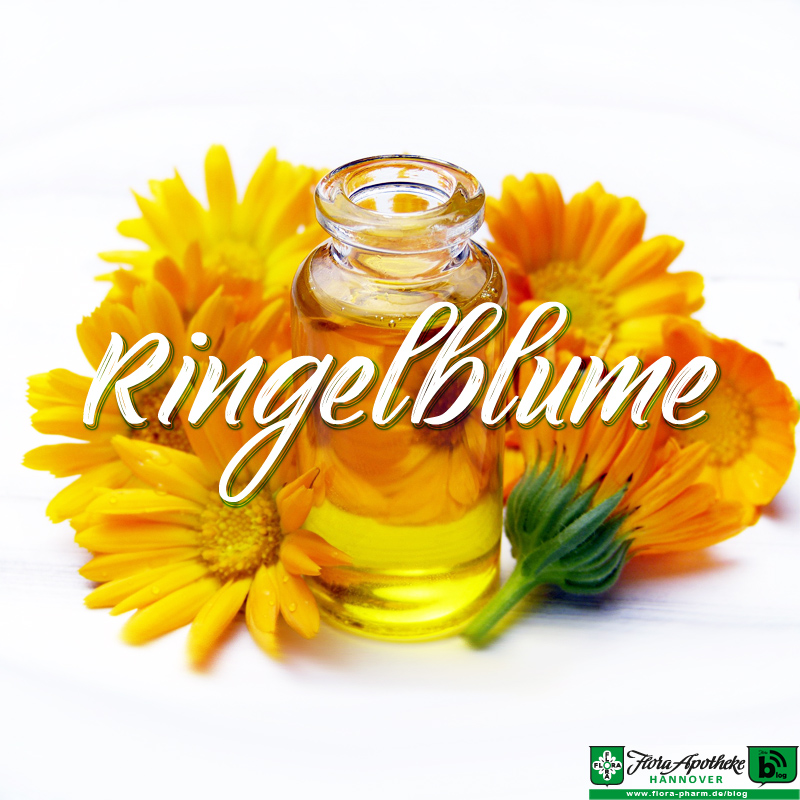 Ringelblume